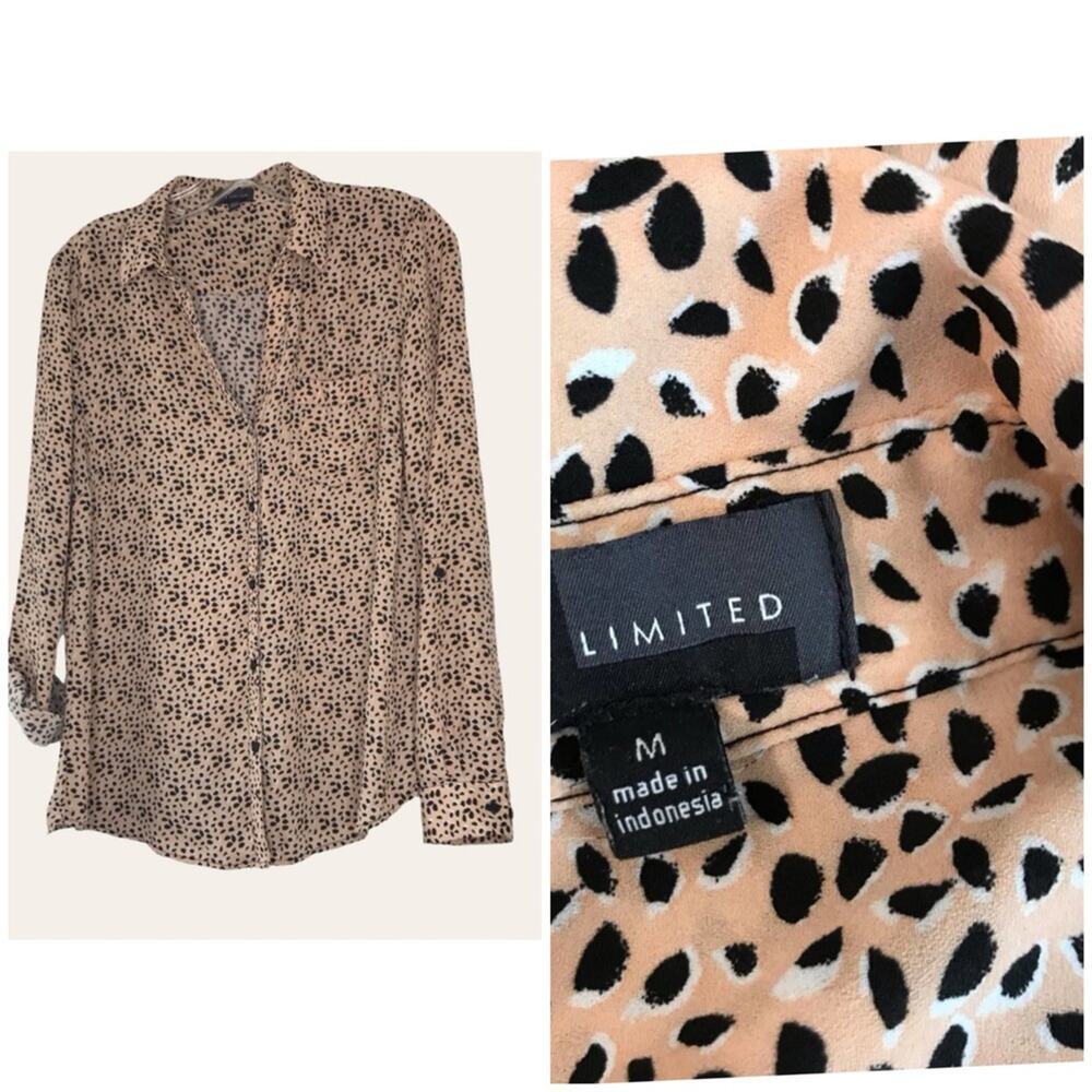 The Limited button down lightweight blouse